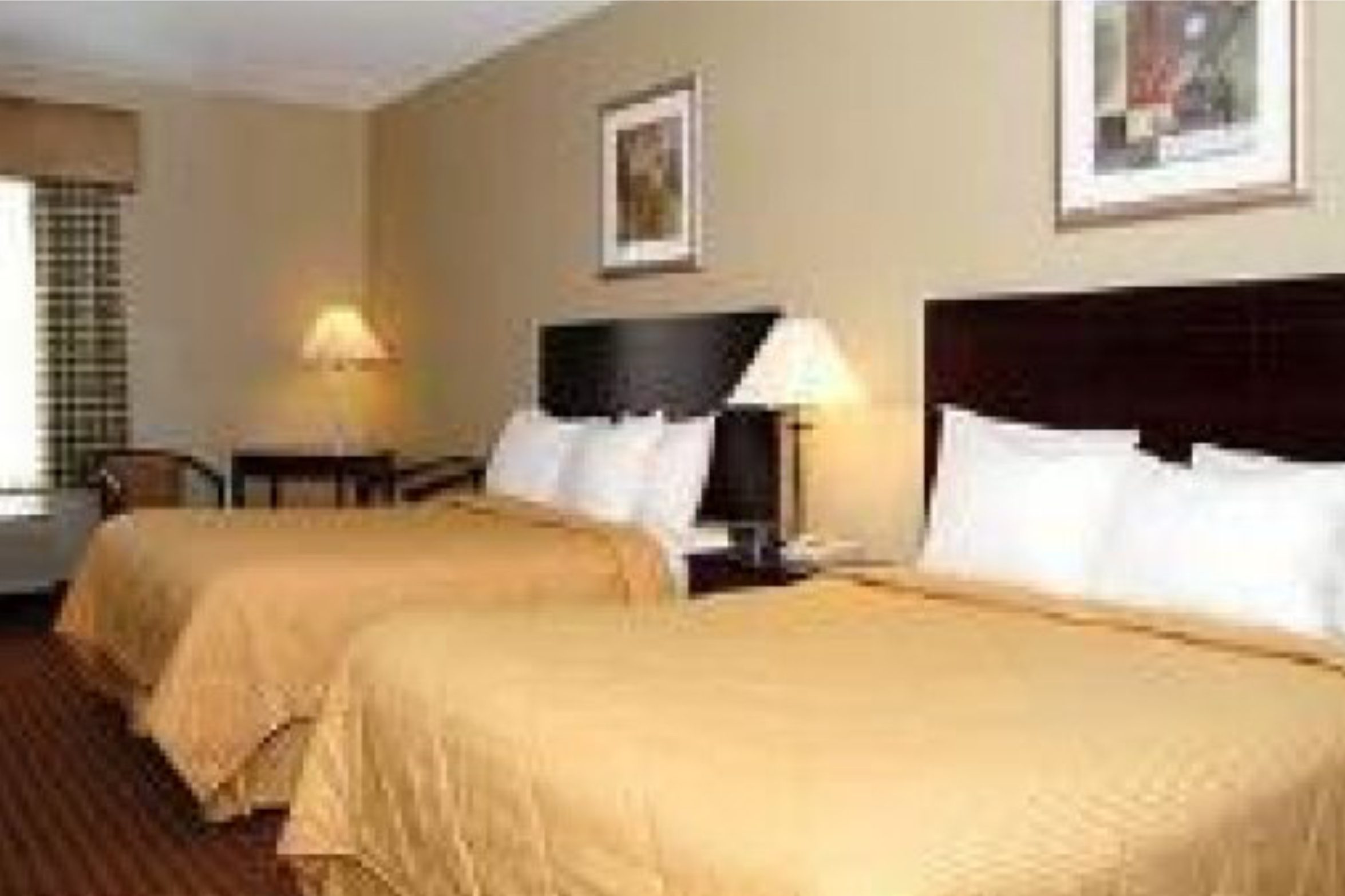 comfort inn room 1